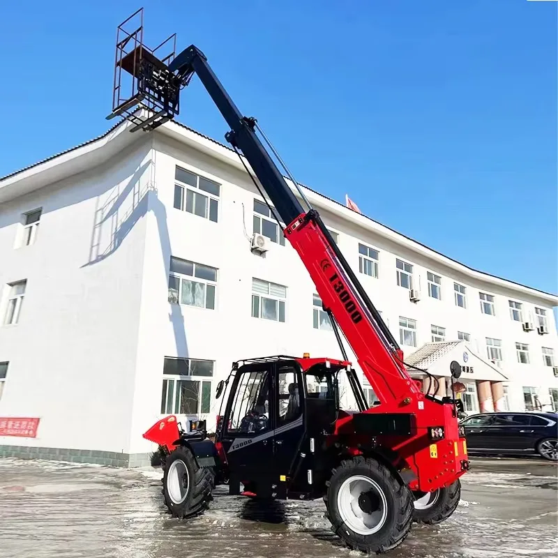 Customized Boom Forklift Compa - огляд і ціна Telescopic Handler Boom