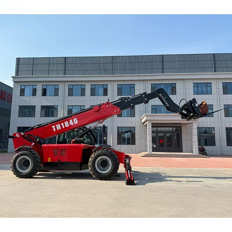 Customized Telescopic Handler  - огляд і ціна Telescopic Handler Boom