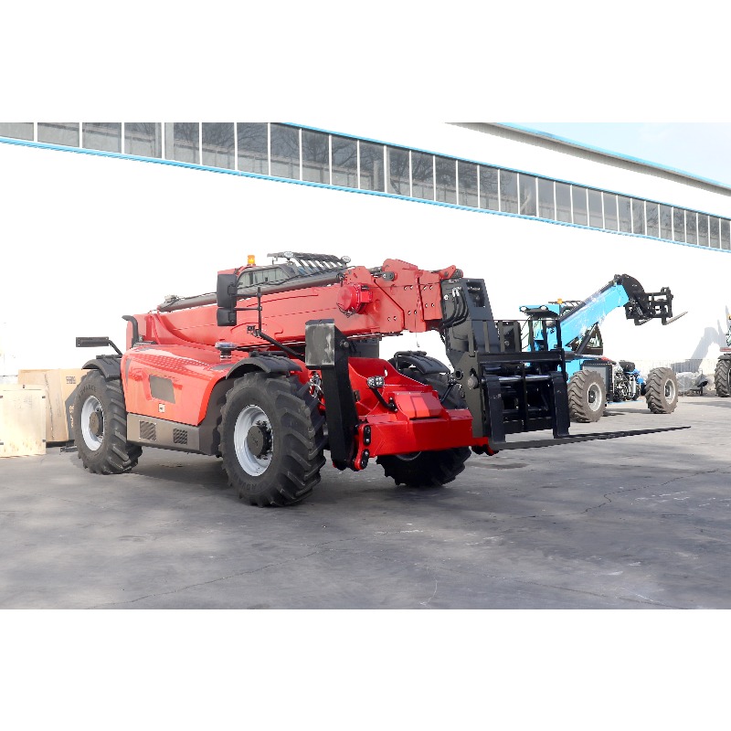 Customized Telescopic Handler  - огляд і ціна Telescopic Handler Boom