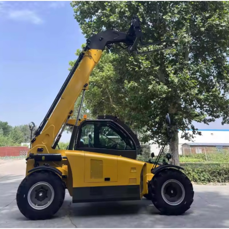 Customized High Quality Teleha - огляд і ціна Telescopic Handler Boom