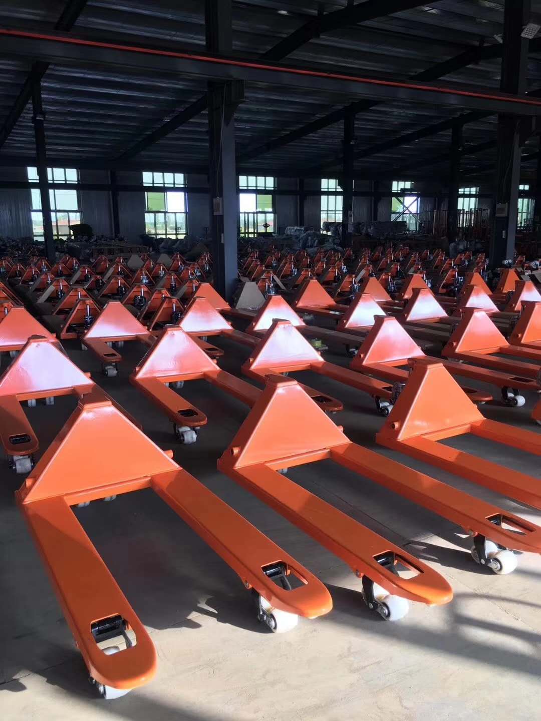 Hydraulic Manual Forklift Hand - огляд і ціна Hand Pallet Truck